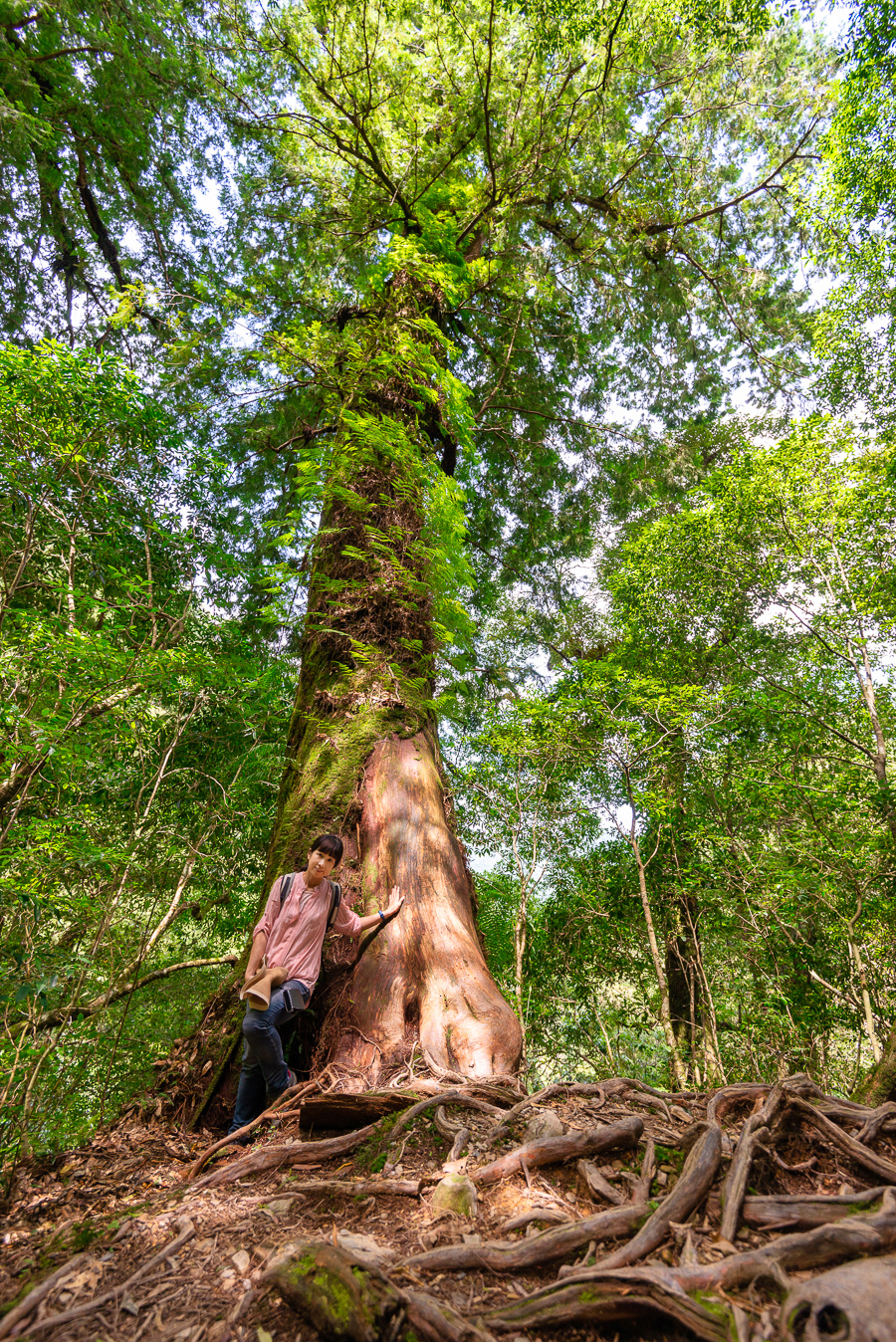 _DSC8841-編輯.JPG _DSC8841-編輯.JPG