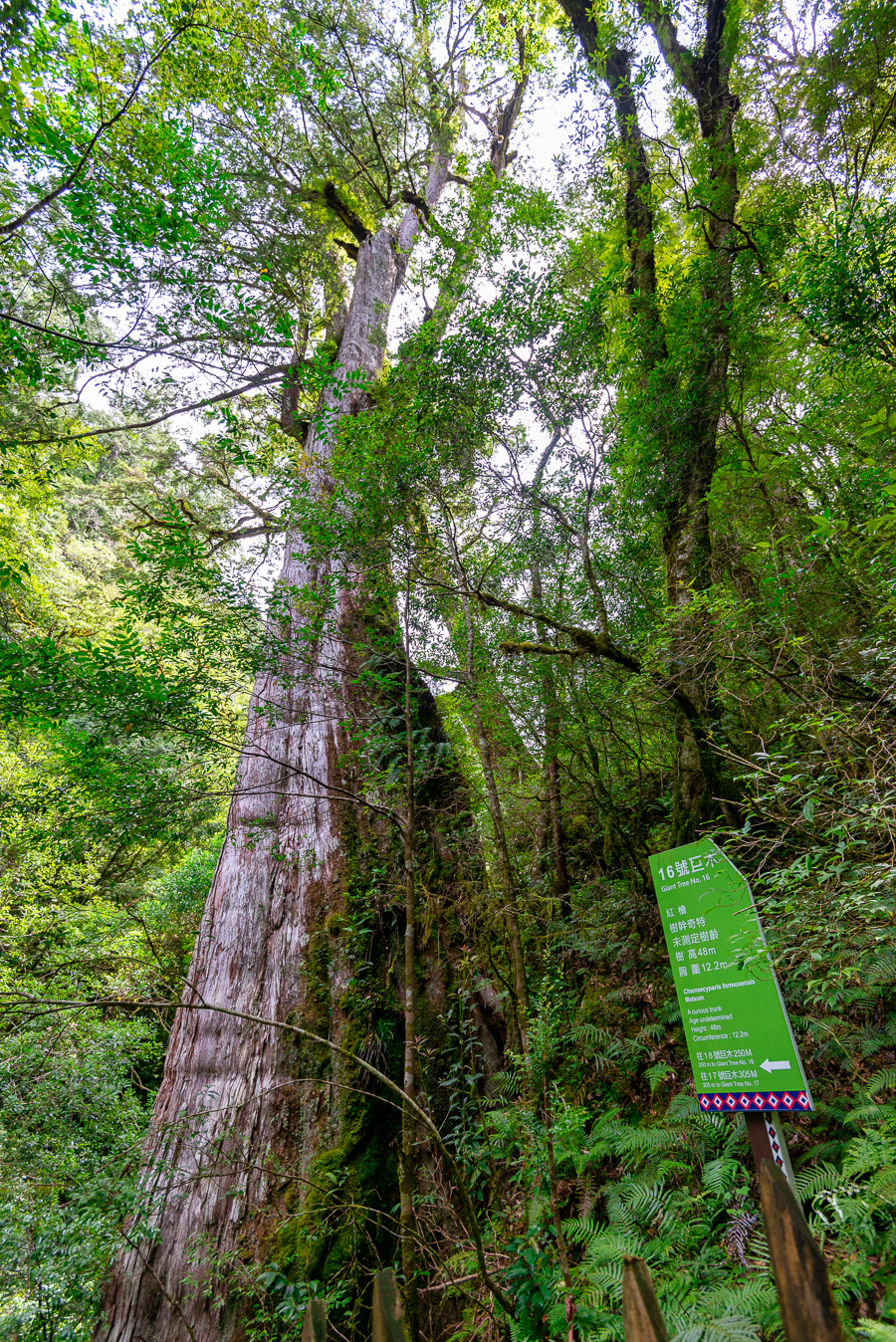 _DSC8875-編輯.JPG _DSC8875-編輯.JPG