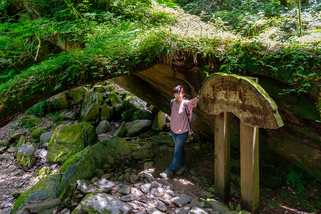 _DSC8880-編輯.JPG _DSC8880-編輯.JPG