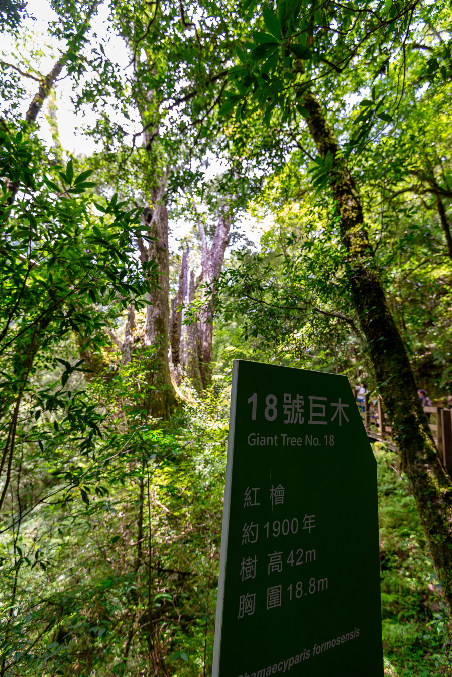 _DSC8897-編輯.JPG _DSC8897-編輯.JPG