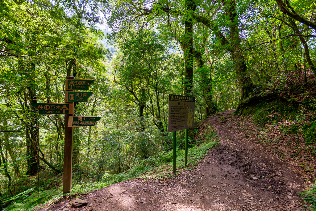 _DSC8905-編輯.JPG _DSC8905-編輯.JPG