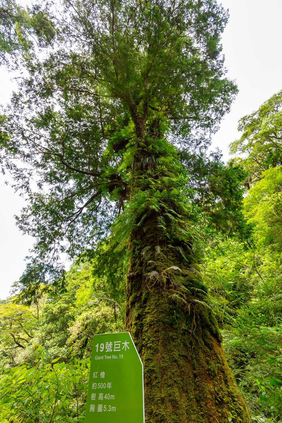 _DSC8908-編輯.JPG _DSC8908-編輯.JPG