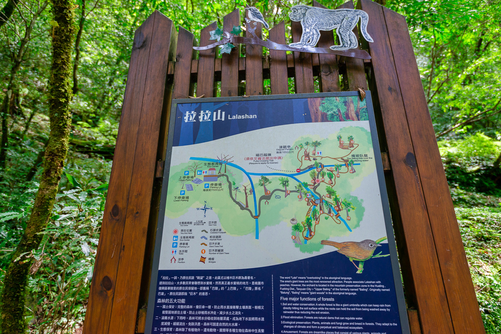 _DSC8913-編輯.JPG _DSC8913-編輯.JPG