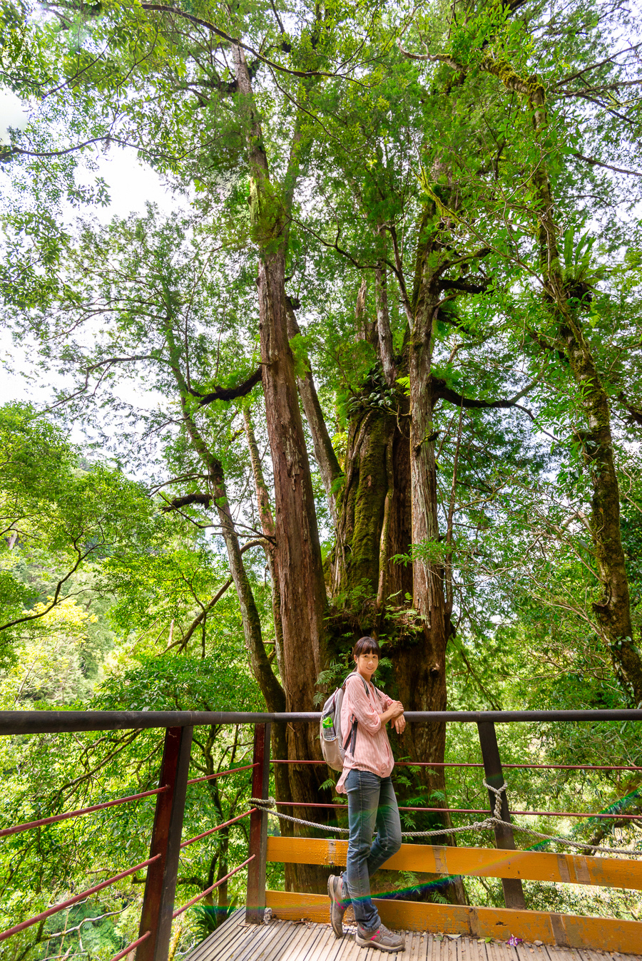 _DSC8915-編輯.JPG _DSC8915-編輯.JPG