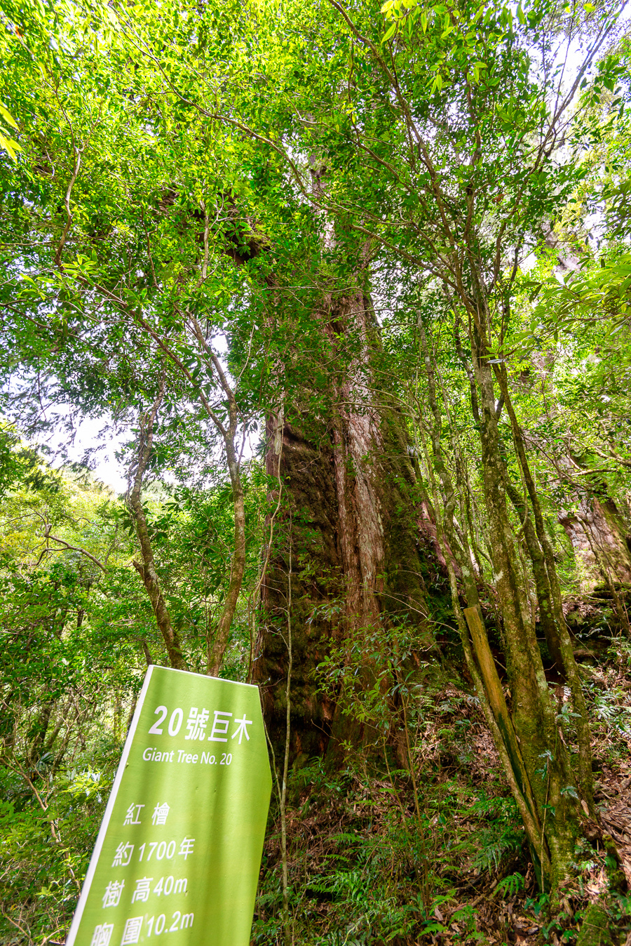 _DSC8926-編輯.JPG _DSC8926-編輯.JPG