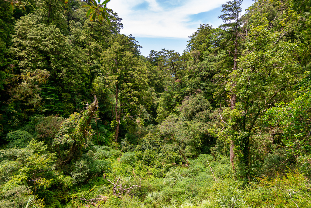 _DSC8932-編輯.JPG _DSC8932-編輯.JPG