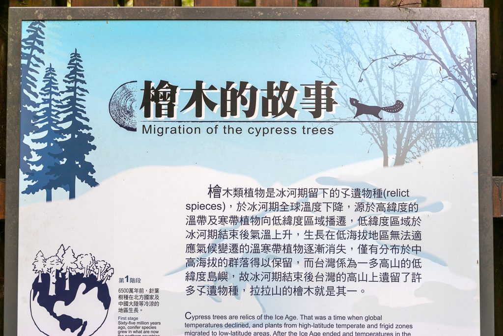 _DSC8947.JPG _DSC8947.JPG