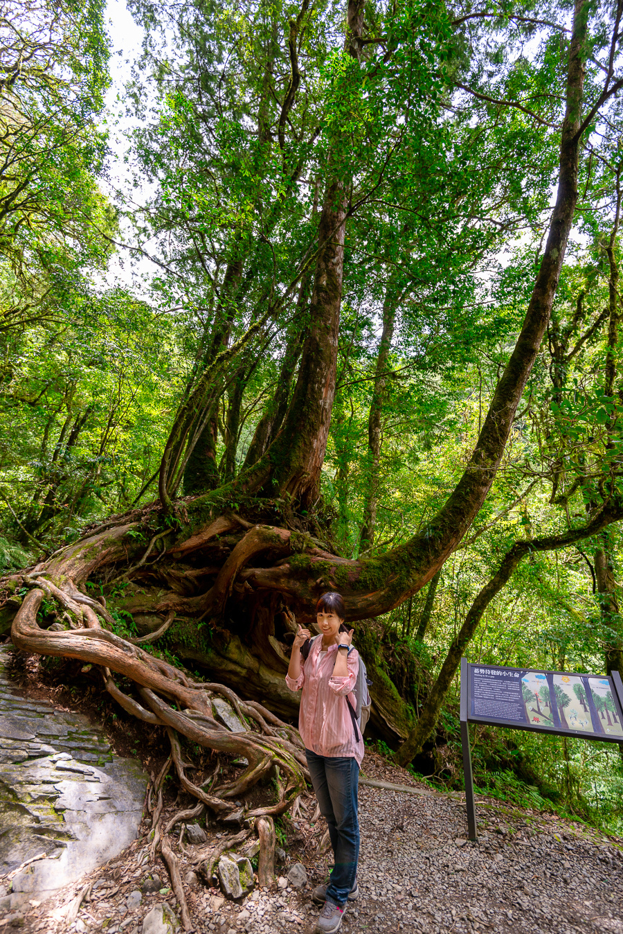 _DSC8935-編輯.JPG _DSC8935-編輯.JPG