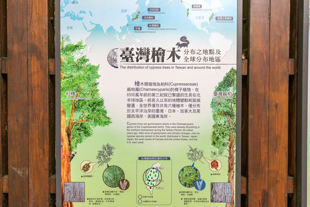 _DSC8948.JPG _DSC8948.JPG