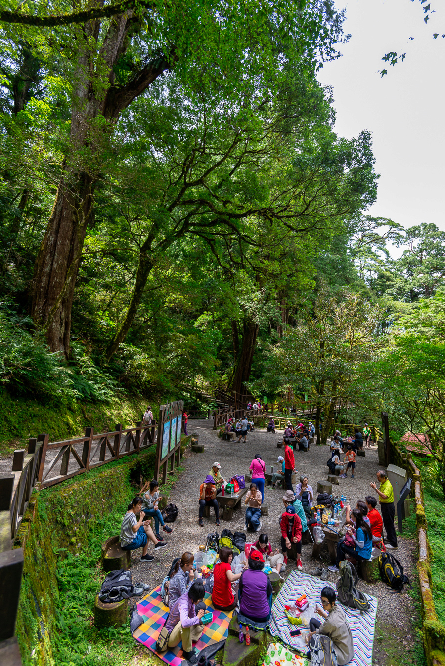 _DSC8942-編輯.JPG _DSC8942-編輯.JPG