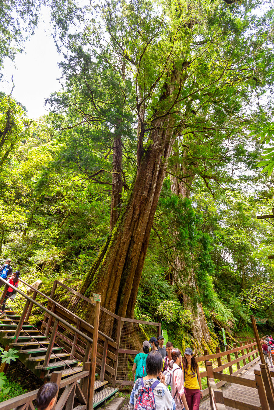 _DSC8949-編輯.JPG _DSC8949-編輯.JPG