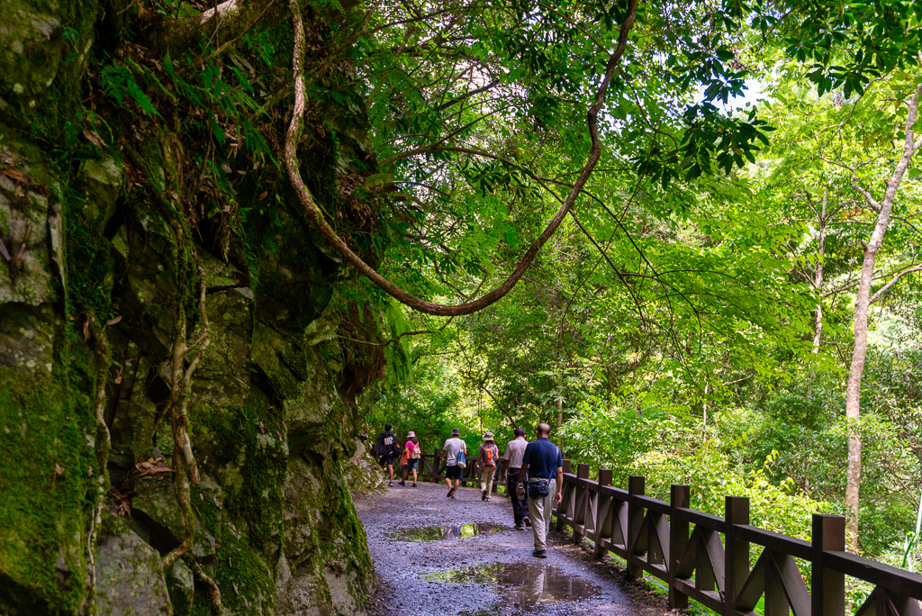 _DSC8957-編輯.JPG _DSC8957-編輯.JPG