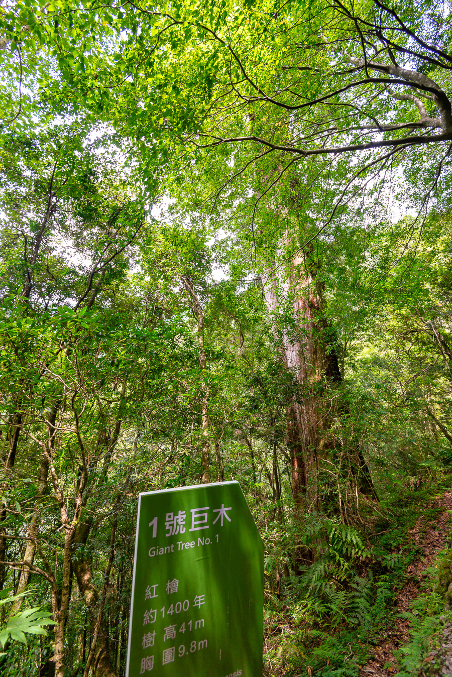 _DSC8956-編輯.JPG _DSC8956-編輯.JPG