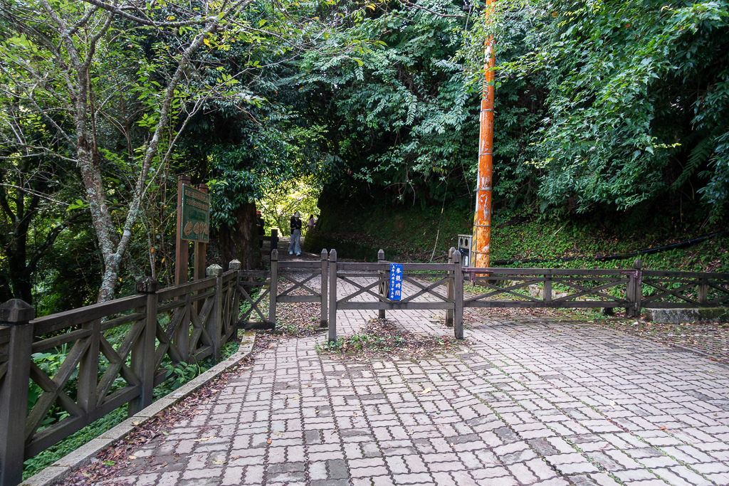 DSC06609.JPG DSC06609.JPG