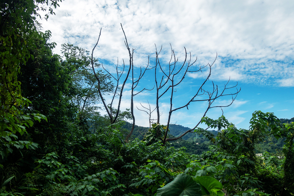 DSC07042.JPG DSC07042.JPG