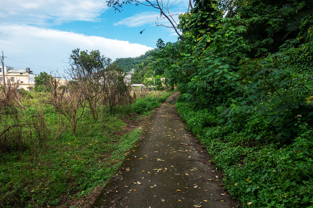 DSC07039.JPG DSC07040.JPG