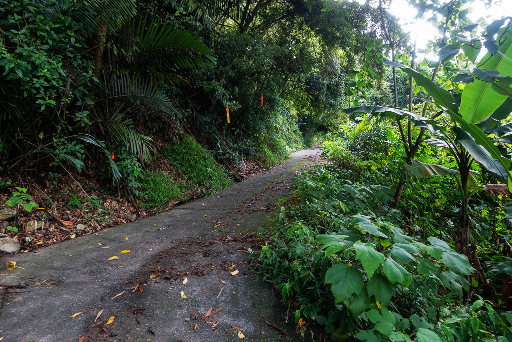 DSC07041.JPG DSC07041.JPG