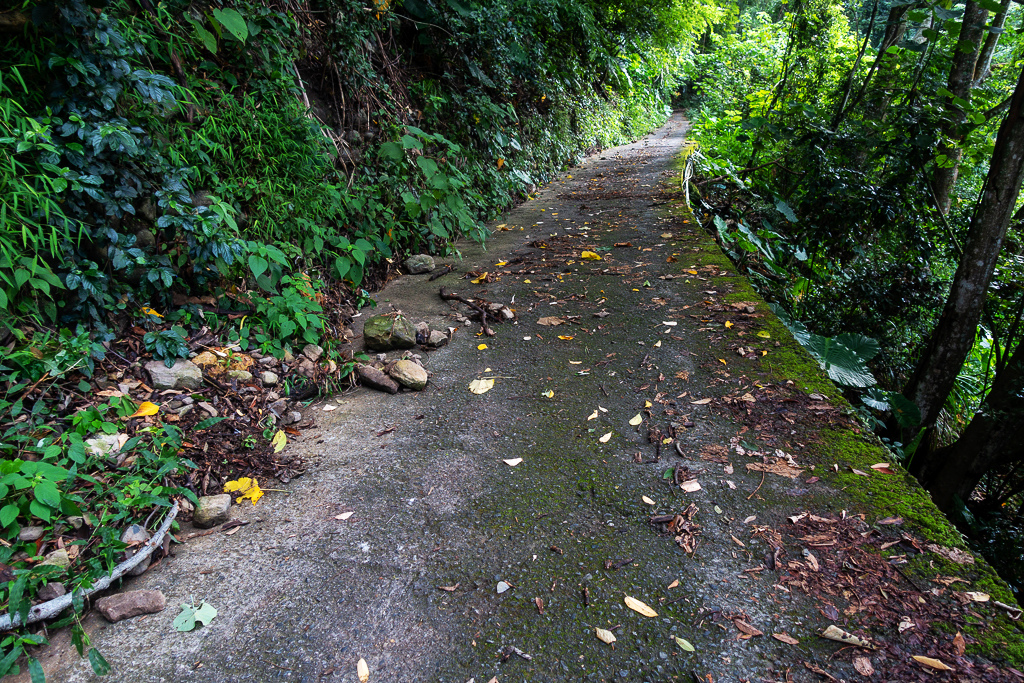 DSC07043.JPG DSC07043.JPG