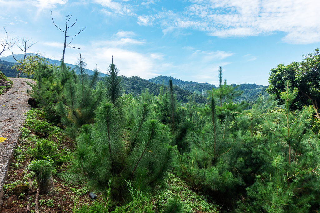 DSC07048.JPG DSC07048.JPG