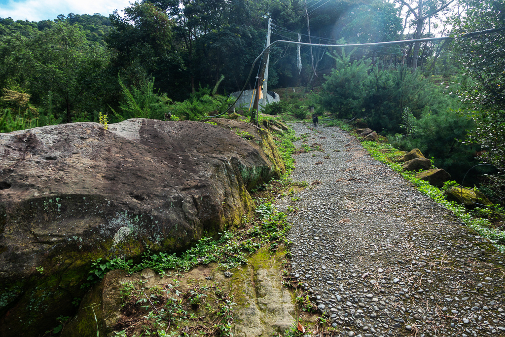 DSC07047.JPG DSC07047.JPG