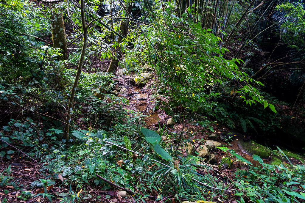 DSC07044.JPG DSC07044.JPG