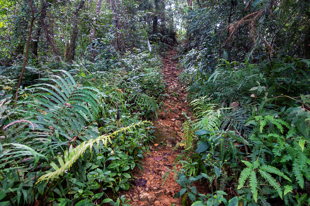 DSC07053.JPG DSC07053.JPG