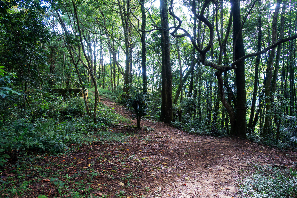 DSC07054.JPG DSC07054.JPG