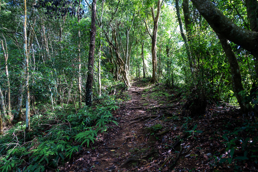 DSC07055.JPG DSC07055.JPG