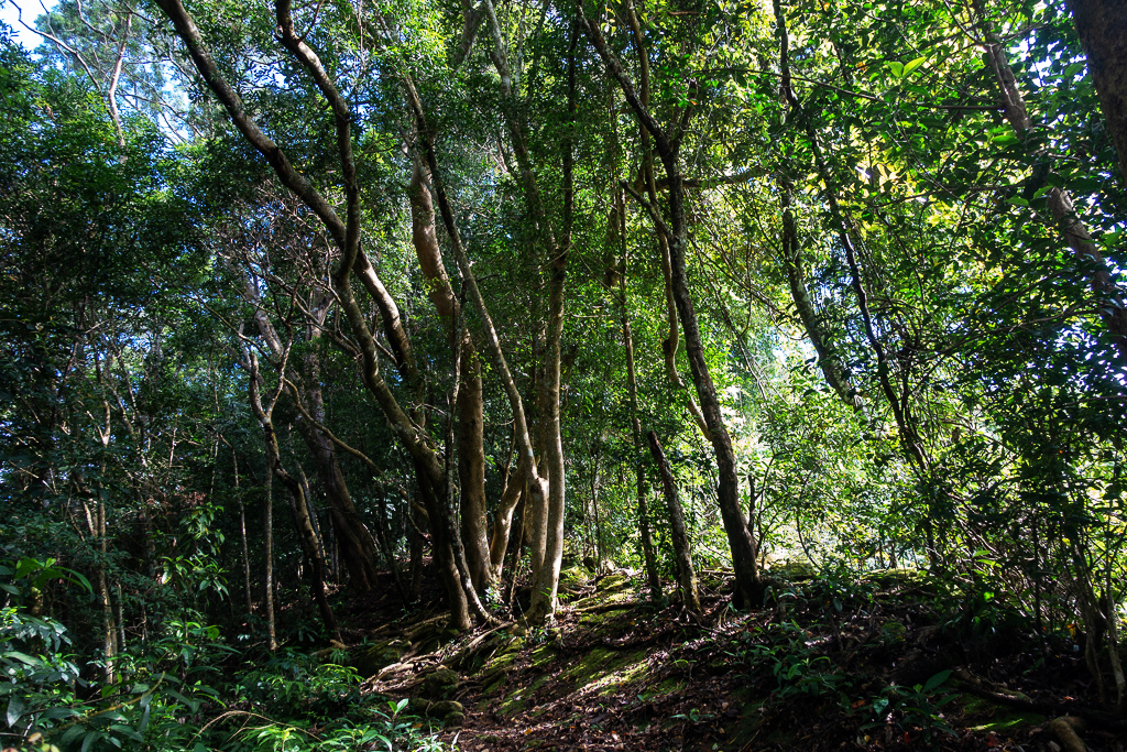 DSC07056.JPG DSC07056.JPG