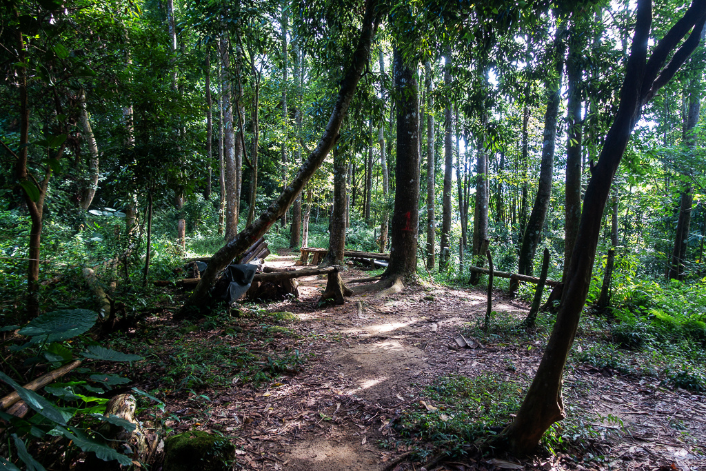 DSC07057.JPG DSC07057.JPG