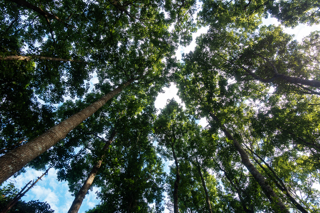 DSC07058.JPG DSC07058.JPG