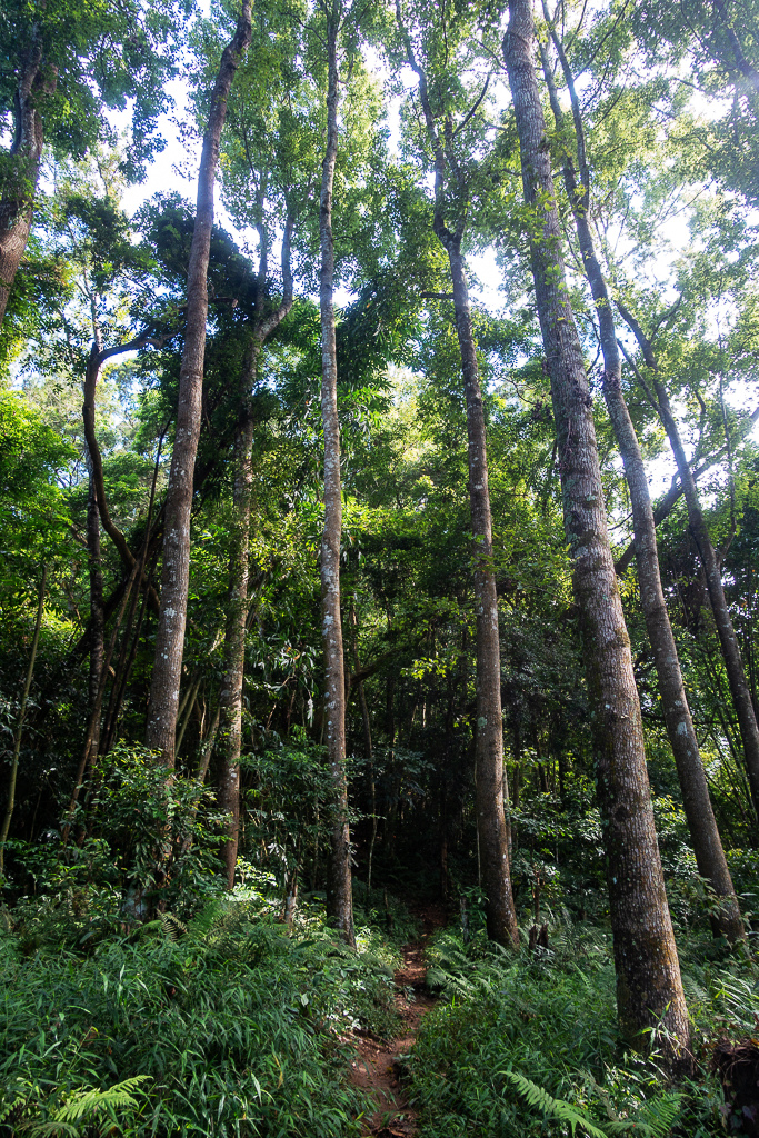 DSC07059.JPG DSC07059.JPG