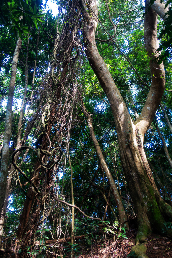 DSC07060.JPG DSC07060.JPG