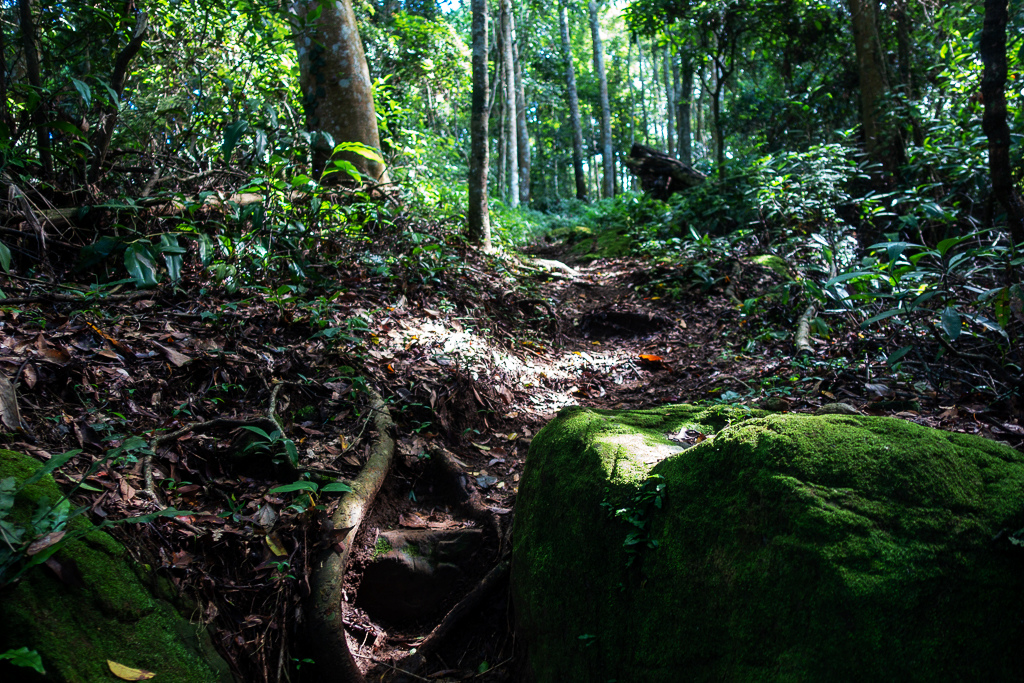 DSC07061.JPG DSC07061.JPG