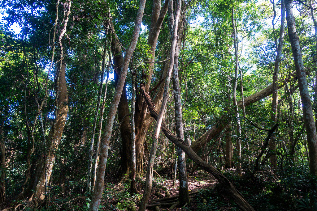 DSC07062.JPG DSC07062.JPG