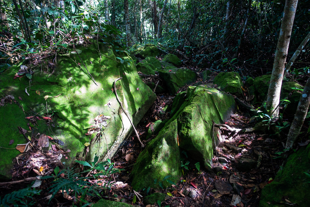 DSC07064.JPG DSC07064.JPG