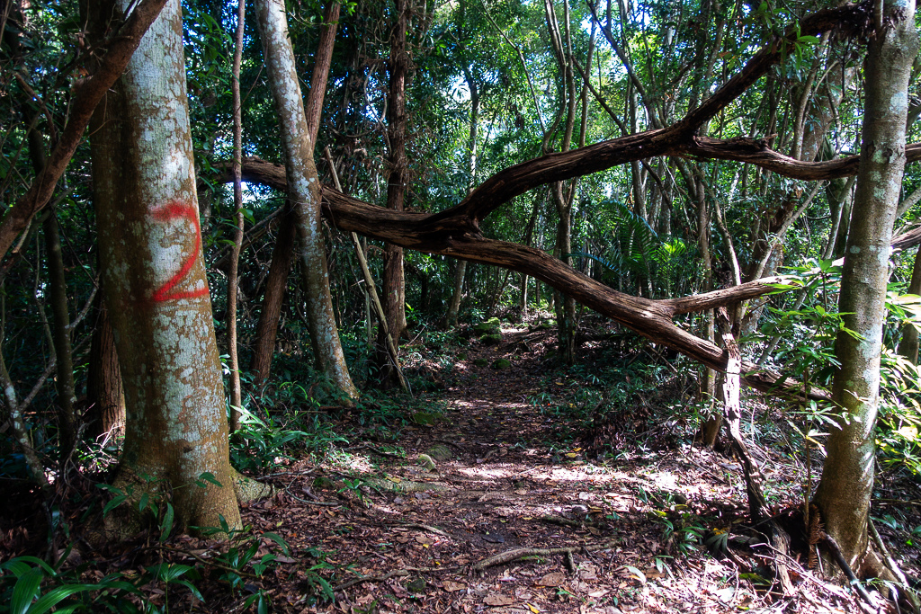 DSC07063.JPG DSC07063.JPG