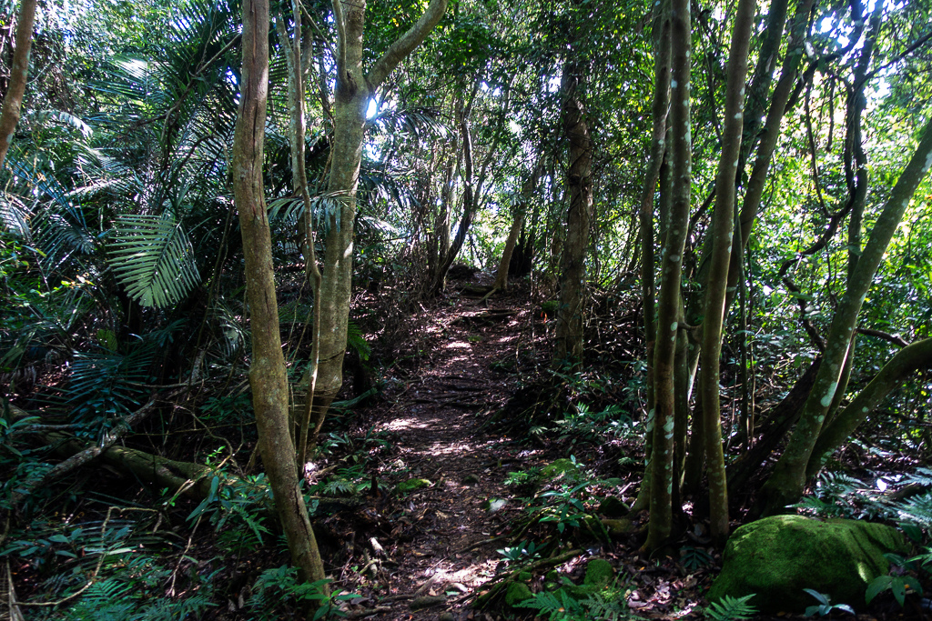 DSC07065.JPG DSC07065.JPG