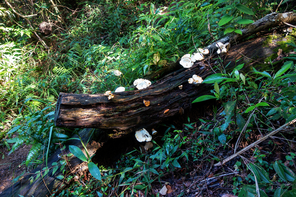 DSC07068.JPG DSC07068.JPG