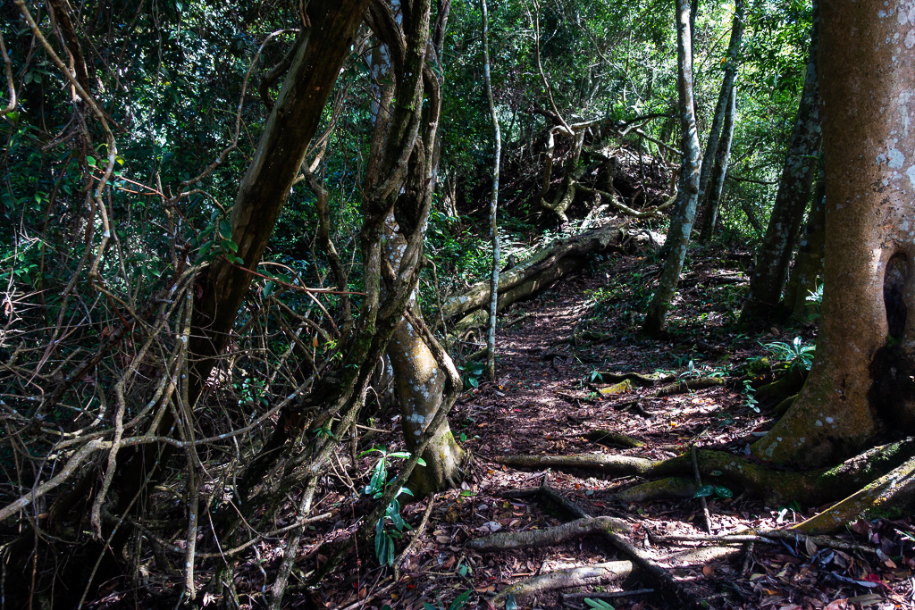 DSC07070.JPG DSC07070.JPG