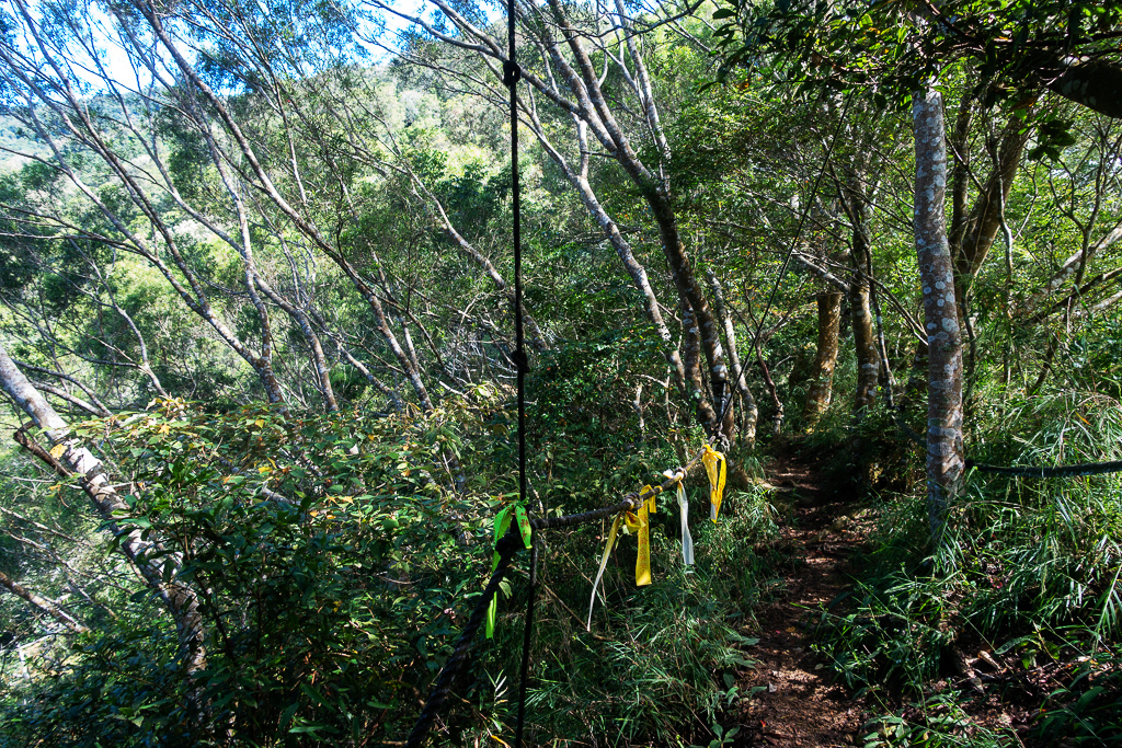 DSC07071.JPG DSC07071.JPG