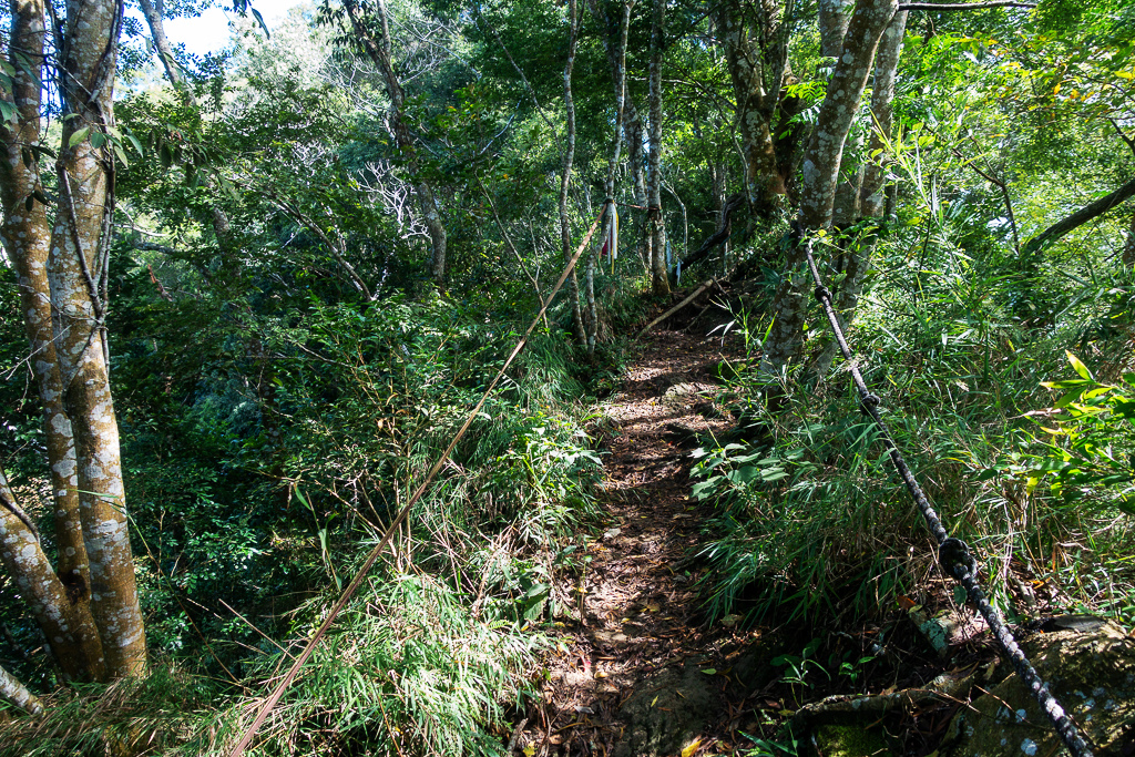 DSC07072.JPG DSC07072.JPG