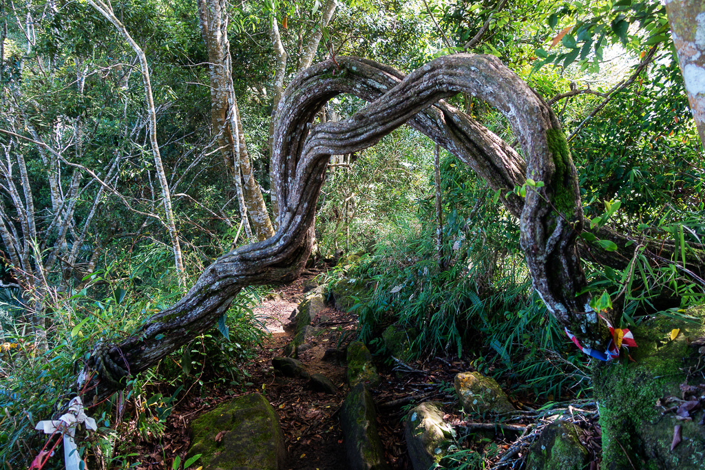 DSC07073.JPG DSC07073.JPG