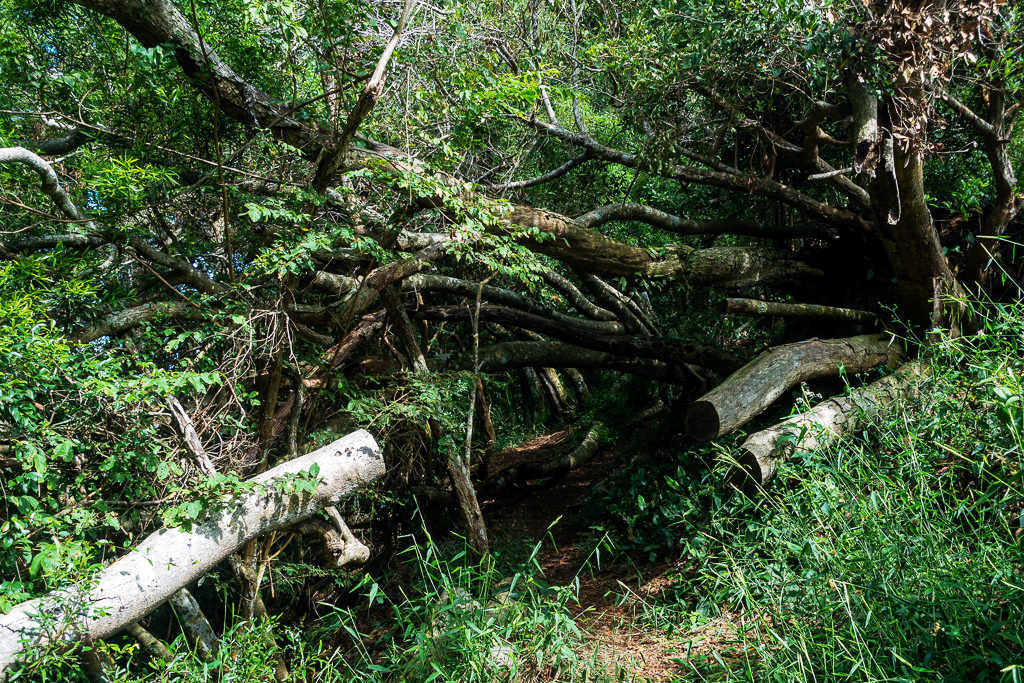 DSC07077.JPG DSC07077.JPG