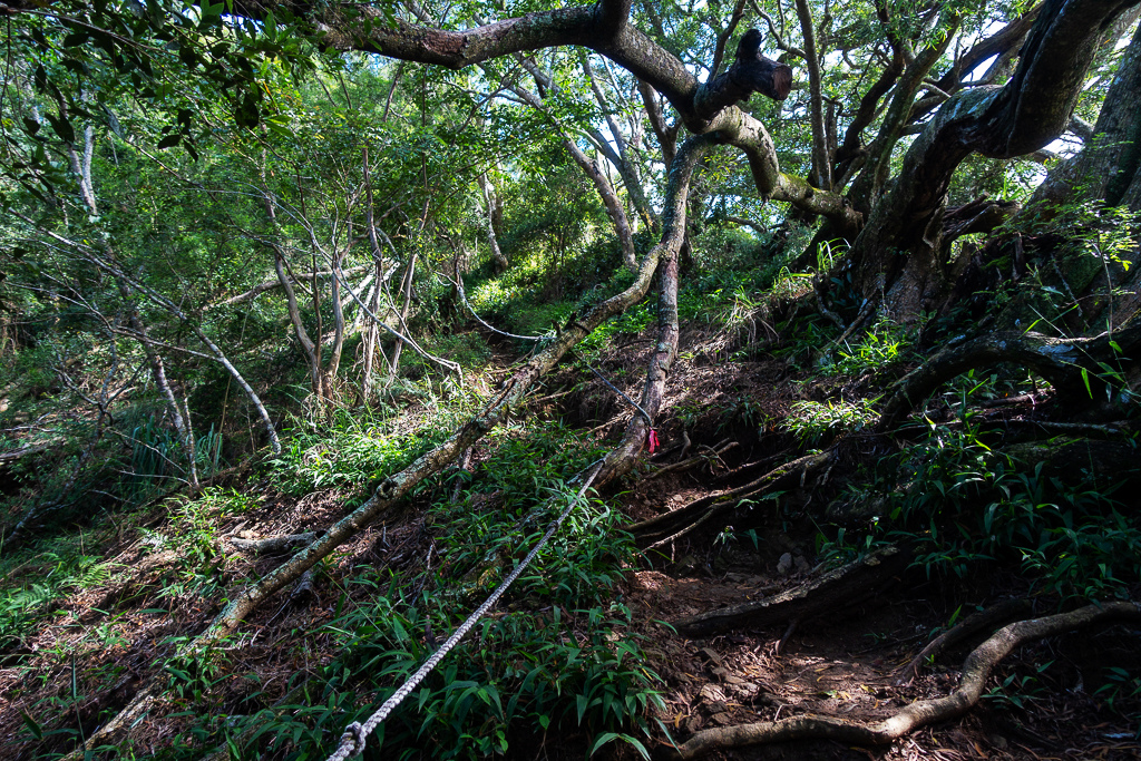 DSC07079.JPG DSC07079.JPG