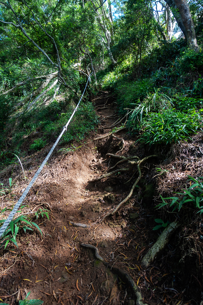 DSC07080.JPG DSC07080.JPG