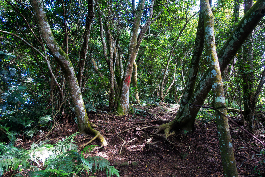 DSC07085.JPG DSC07085.JPG