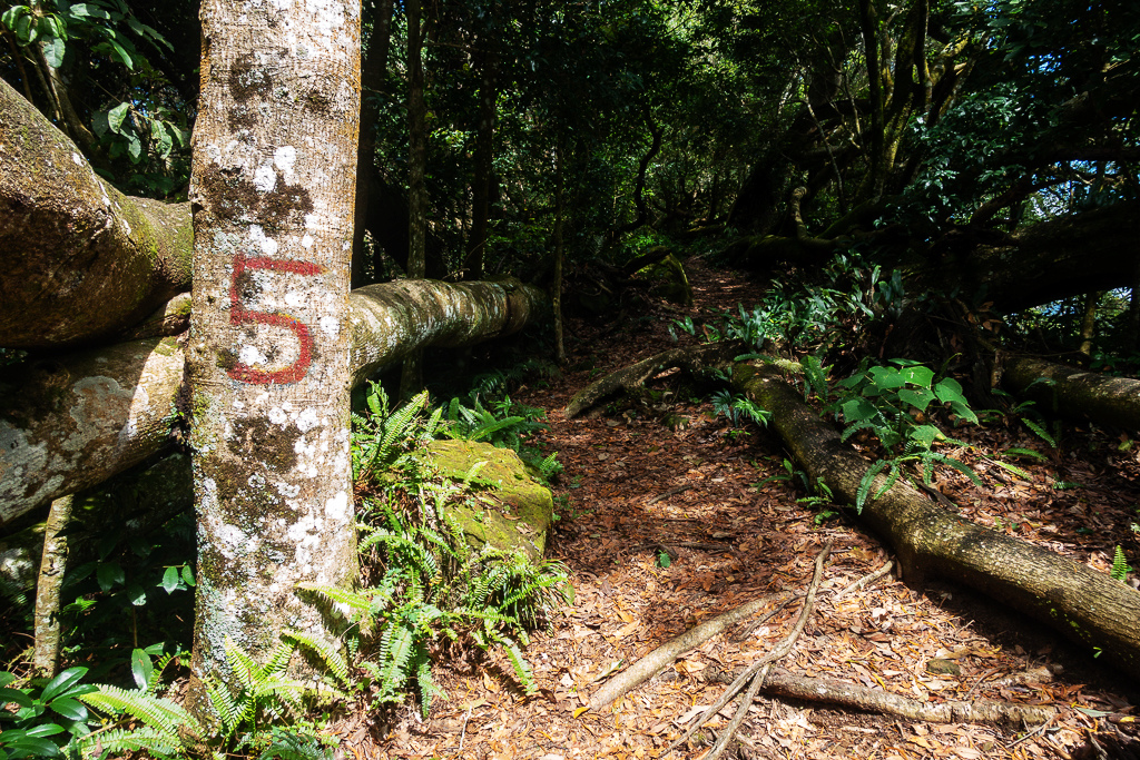 DSC07086.JPG DSC07086.JPG