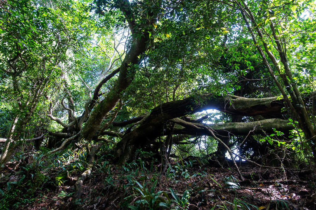 DSC07084.JPG DSC07084.JPG