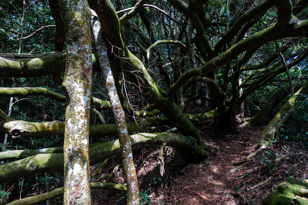 DSC07088.JPG DSC07088.JPG